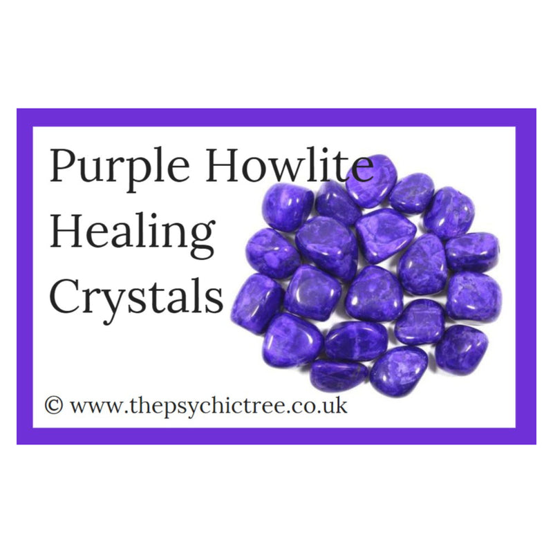 Purple Howlite Guide Book