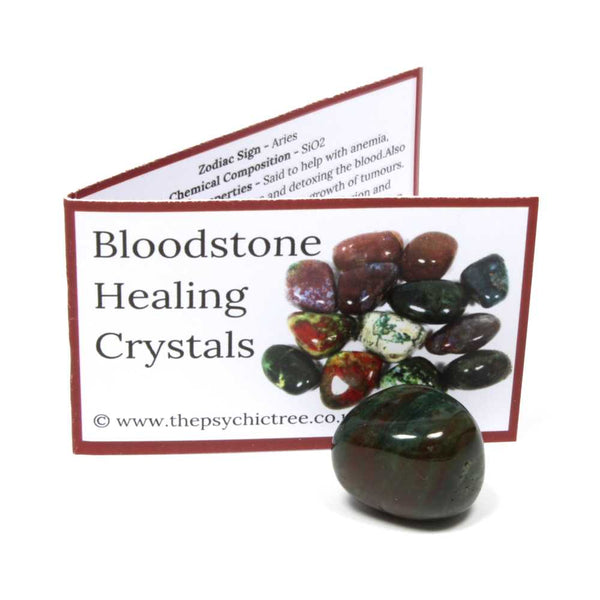 Bloodstone Crystal & Guide Pack