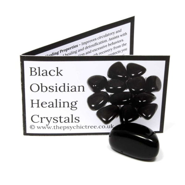Black Obsidian Crystal & Guide Pack