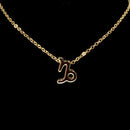 Capricorn Zodiac Necklace