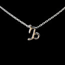Capricorn Zodiac Necklace