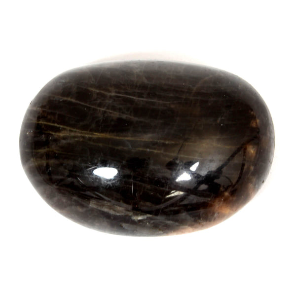 Black Moonstone Gallet / Palm Stone