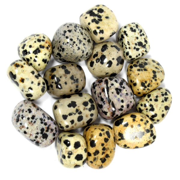 Dalmatian Jasper Polished Tumblestone Healing Crystals