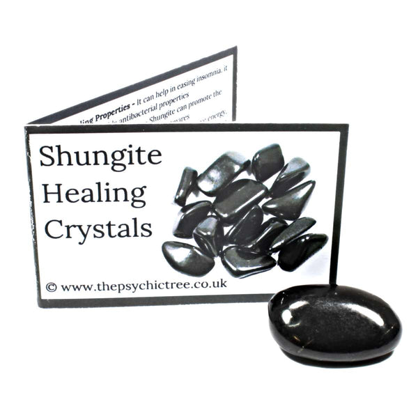 Shungite Crystal & Guide Pack