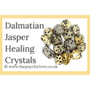 Dalmatian Jasper Guide Book