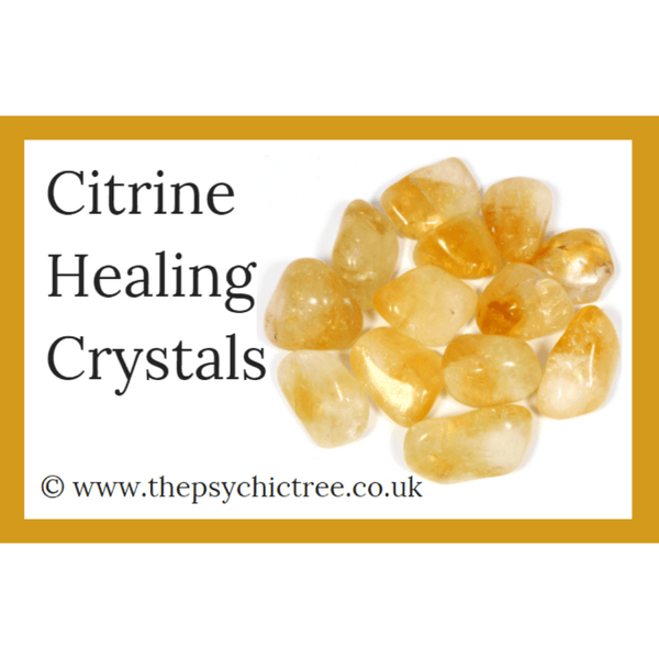 Citrine Guide Book