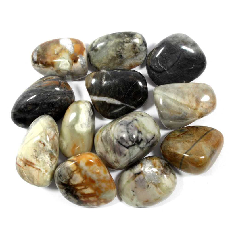 Picasso Jasper Polished Tumblestone Healing Crystal