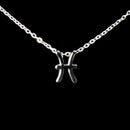 Pisces Zodiac Necklace