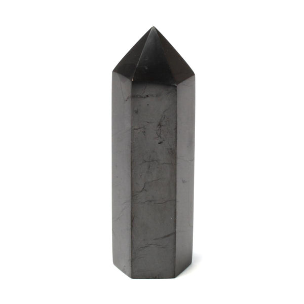 Shungite Faceted Obelisk (5cm)