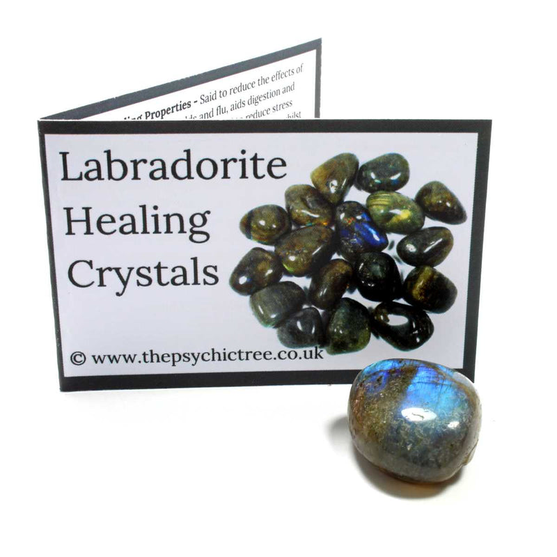 Labradorite Polished Tumblestone Healing Crystals